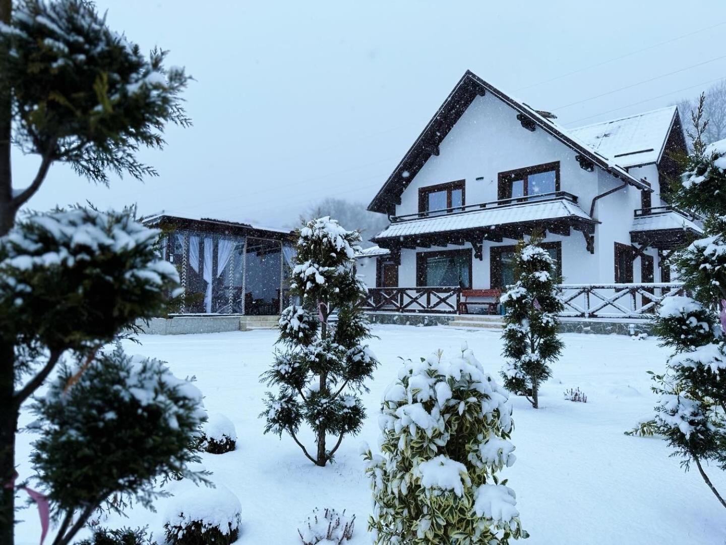 Casuta Doi Ponei Villa Busteni Bagian luar foto